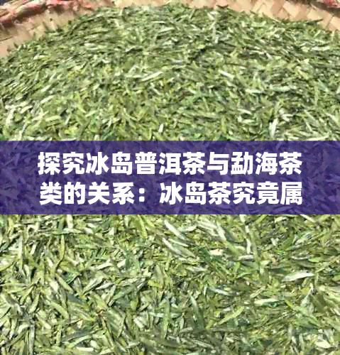 探究冰岛普洱茶与勐海茶类的关系：冰岛茶究竟属于哪一类？