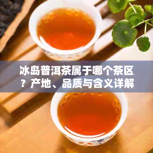 冰岛普洱茶属于哪个茶区？产地、品质与含义详解