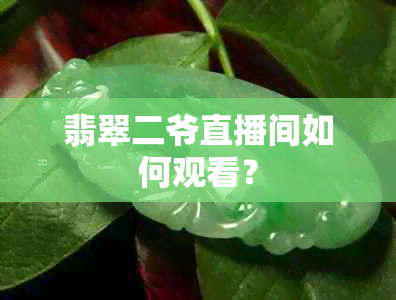 翡翠二爷直播间如何观看？