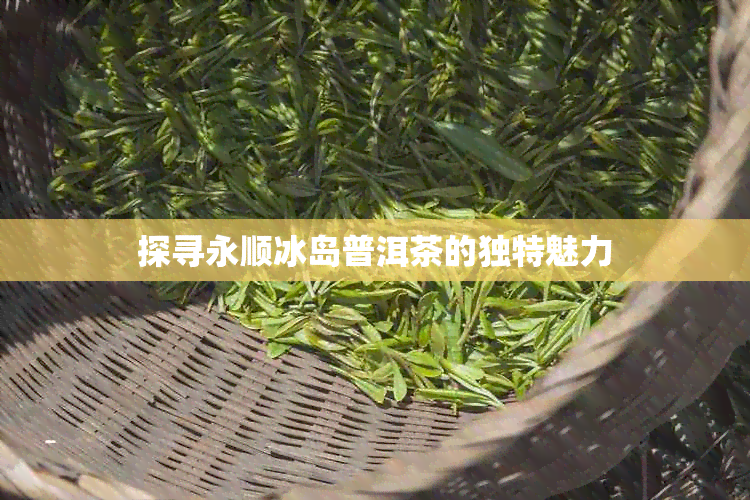 探寻永顺冰岛普洱茶的独特魅力