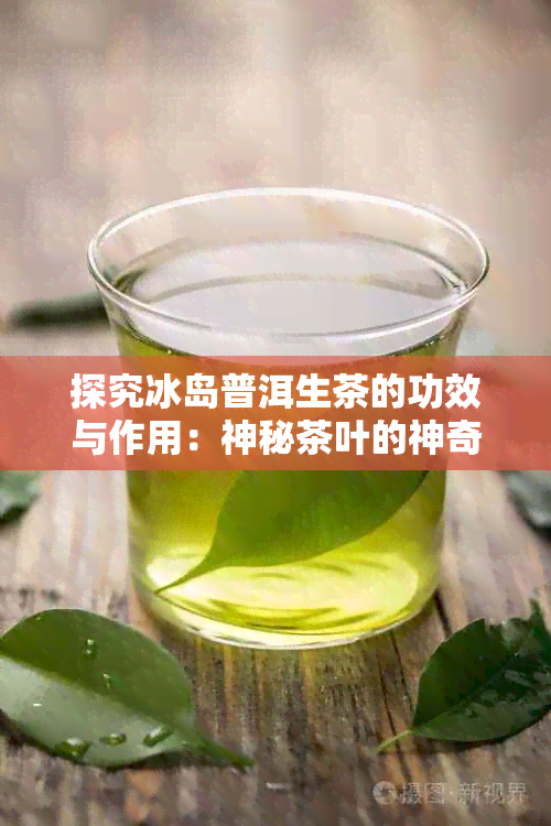 探究冰岛普洱生茶的功效与作用：神秘茶叶的神奇之处