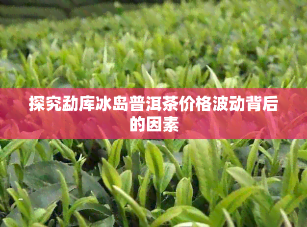 探究勐库冰岛普洱茶价格波动背后的因素