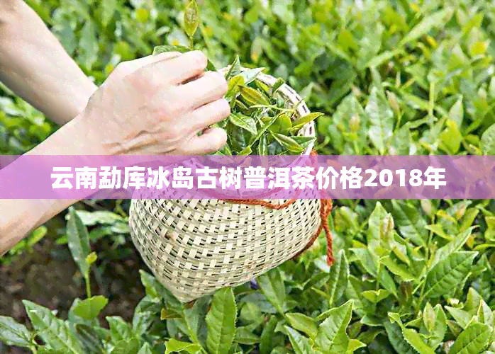 云南勐库冰岛古树普洱茶价格2018年