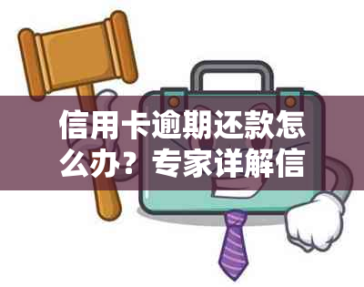 信用卡逾期还款怎么办？专家详解信用卡协商分期时长及注意事项