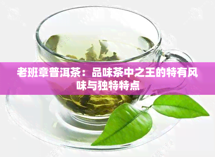 老班章普洱茶：品味茶中之王的特有风味与独特特点