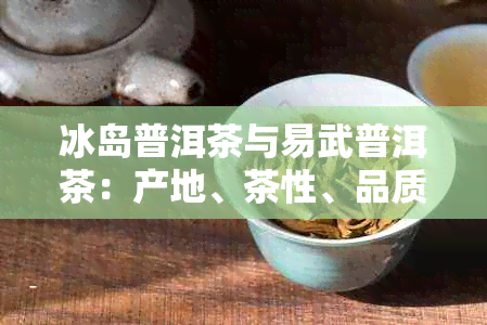 冰岛普洱茶与易武普洱茶：产地、茶性、品质大揭秘