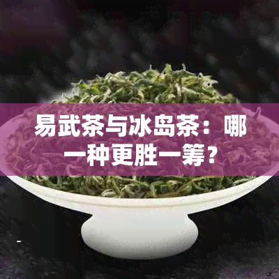 易武茶与冰岛茶：哪一种更胜一筹？