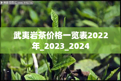 武夷岩茶价格一览表2022年_2023_2024