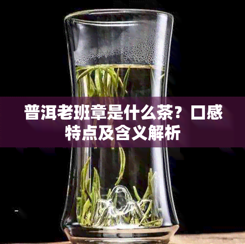 普洱老班章是什么茶？口感特点及含义解析