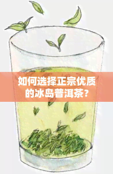 如何选择正宗优质的冰岛普洱茶？