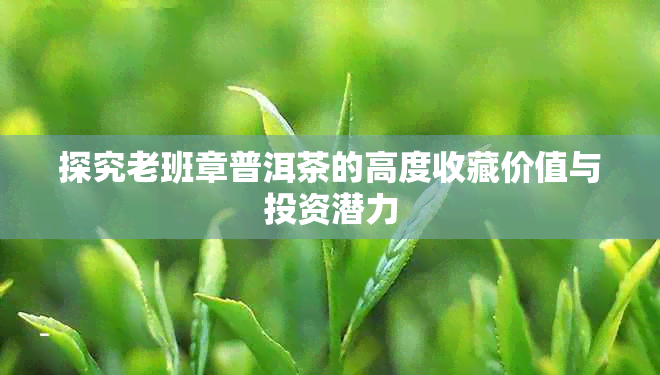 探究老班章普洱茶的高度收藏价值与投资潜力