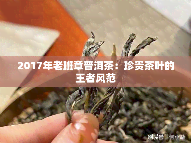 2017年老班章普洱茶：珍贵茶叶的王者风范