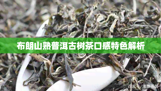 布朗山熟普洱古树茶口感特色解析