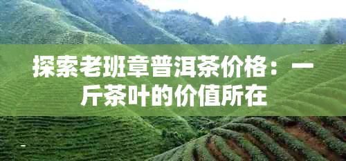 探索老班章普洱茶价格：一斤茶叶的价值所在