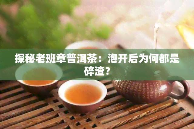 探秘老班章普洱茶：泡开后为何都是碎渣？