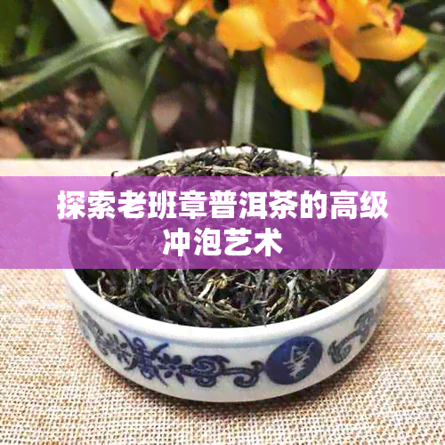 探索老班章普洱茶的高级冲泡艺术