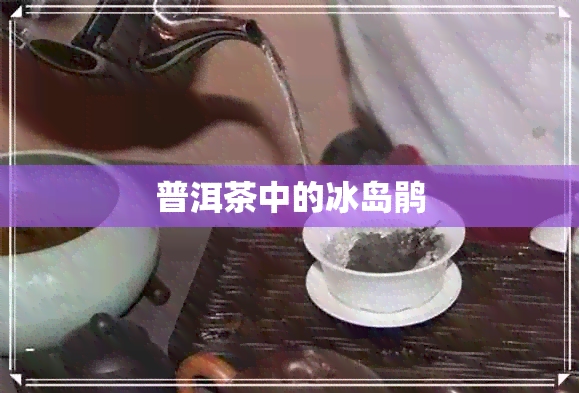 普洱茶中的冰岛鹃