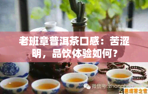 老班章普洱茶口感：苦涩明，品饮体验如何？