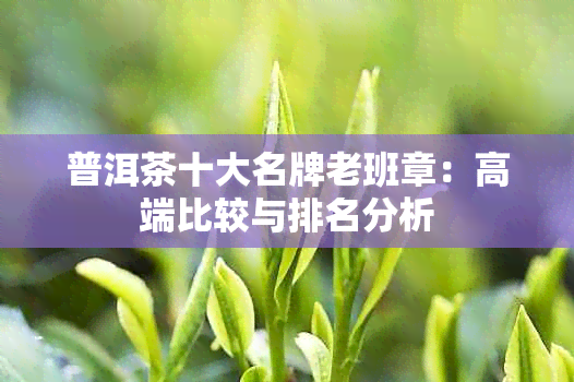 普洱茶十大名牌老班章：高端比较与排名分析