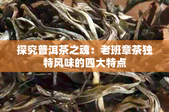 探究普洱茶之魂：老班章茶独特风味的四大特点