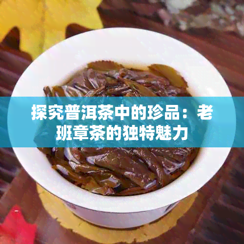 探究普洱茶中的珍品：老班章茶的独特魅力