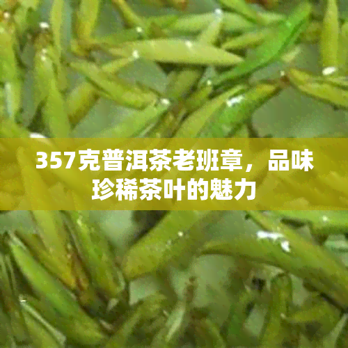 357克普洱茶老班章，品味珍稀茶叶的魅力