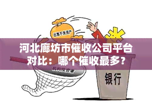 河北廊坊市公司平台对比：哪个最多？