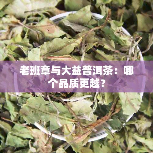 老班章与大益普洱茶：哪个品质更越？