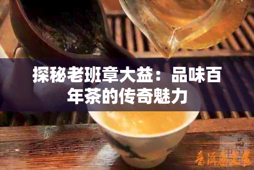 探秘老班章大益：品味百年茶的传奇魅力