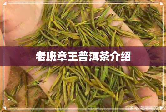 老班章王普洱茶介绍