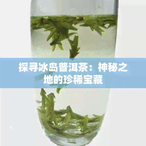 探寻冰岛普洱茶：神秘之地的珍稀宝藏