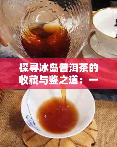 探寻冰岛普洱茶的收藏与鉴之道：一位发烧级玩家的独到见解