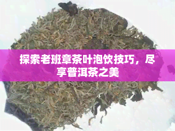 探索老班章茶叶泡饮技巧，尽享普洱茶之美