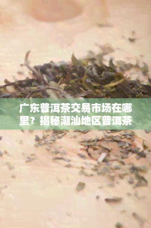 广东普洱茶交易市场在哪里？揭秘潮汕地区普洱茶交易热点