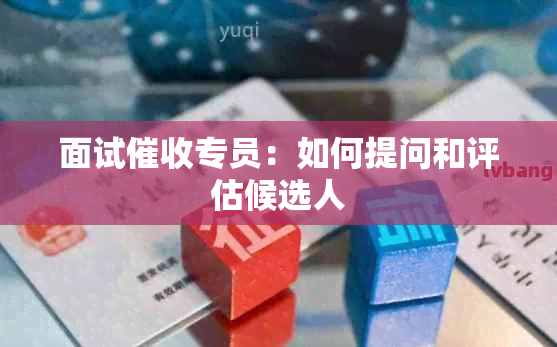 面试专员：如何提问和评估候选人