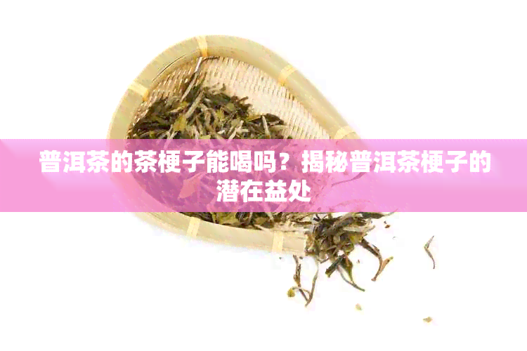 普洱茶的茶梗子能喝吗？揭秘普洱茶梗子的潜在益处