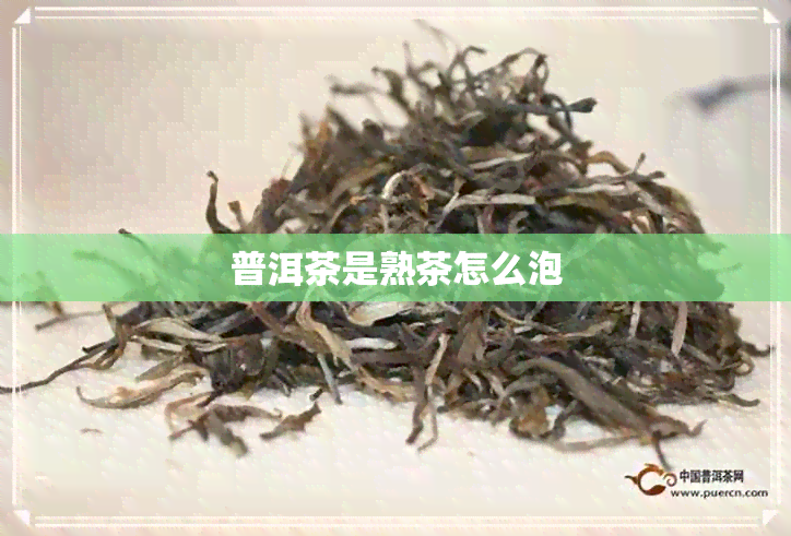 普洱茶是熟茶怎么泡