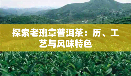 探索老班章普洱茶：历、工艺与风味特色