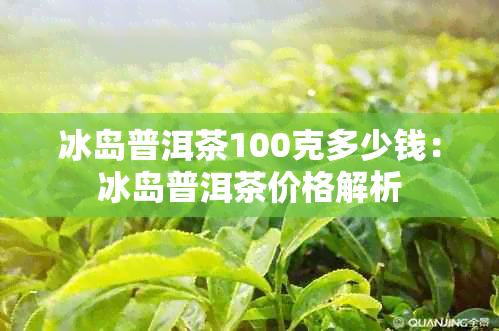 冰岛普洱茶100克多少钱：冰岛普洱茶价格解析