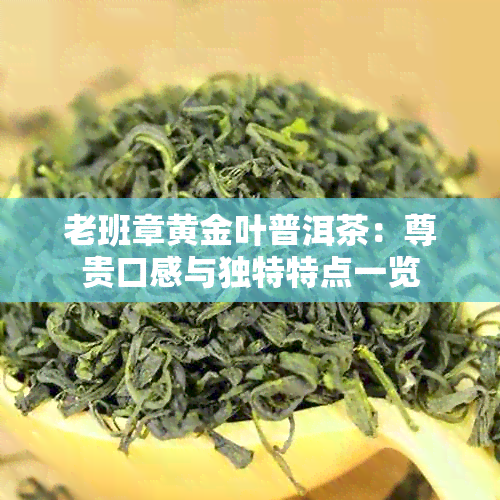 老班章黄金叶普洱茶：尊贵口感与独特特点一览