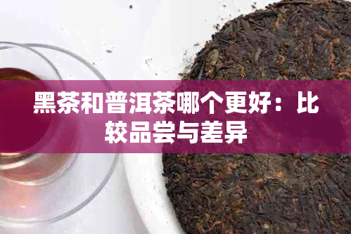 黑茶和普洱茶哪个更好：比较品尝与差异