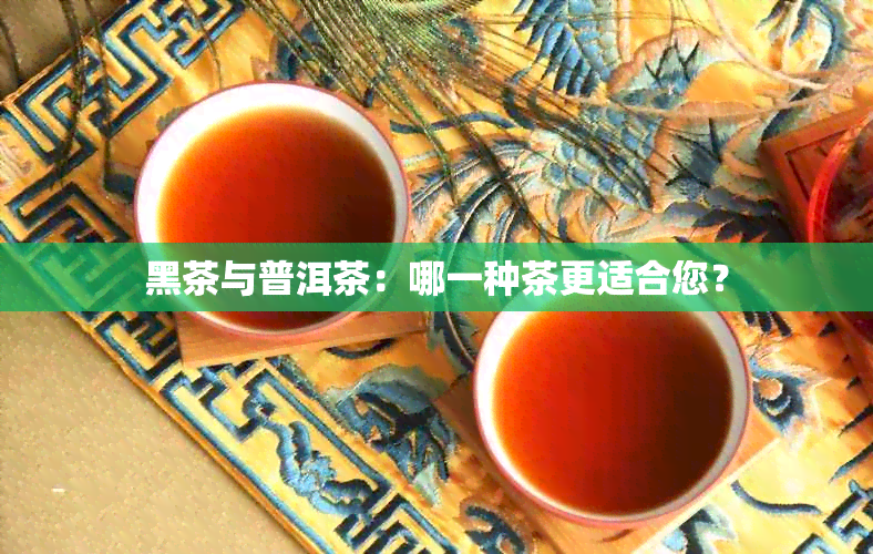 黑茶与普洱茶：哪一种茶更适合您？