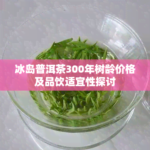 冰岛普洱茶300年树龄价格及品饮适宜性探讨