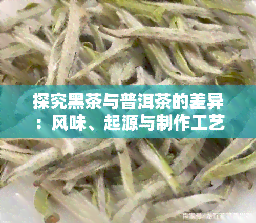 探究黑茶与普洱茶的差异：风味、起源与制作工艺