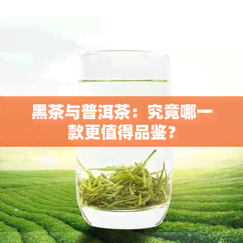 黑茶与普洱茶：究竟哪一款更值得品鉴？