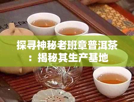 探寻神秘老班章普洱茶：揭秘其生产基地