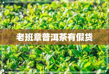 老班章普洱茶有假货