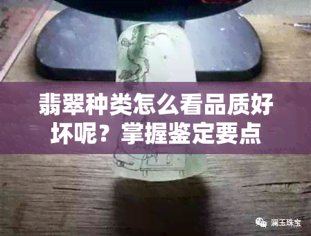 翡翠种类怎么看品质好坏呢？掌握鉴定要点