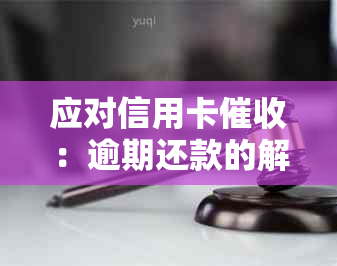 应对信用卡：逾期还款的解决策略