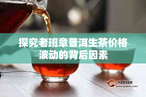 探究老班章普洱生茶价格波动的背后因素